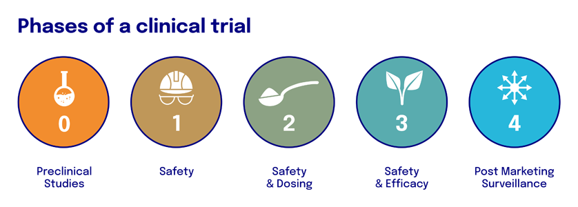Infographic clinical trial and its 5 phases