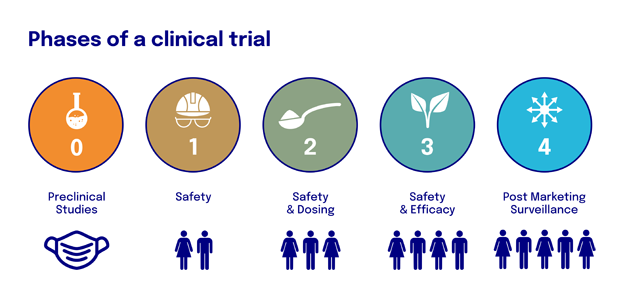 Phases of a clinical trial