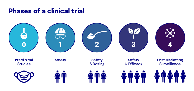 5 phases of a clinical trial scheme and illustration