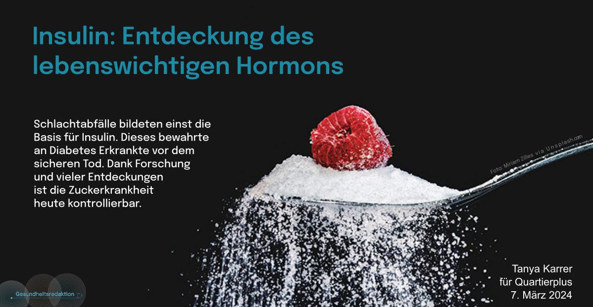 Insulin: Entdeckung eines lebenswichtigen Hormons. Artikel von Tanya Karrer. Löffel mit Zucker und Himbeere vor schwarzem Hintergrund