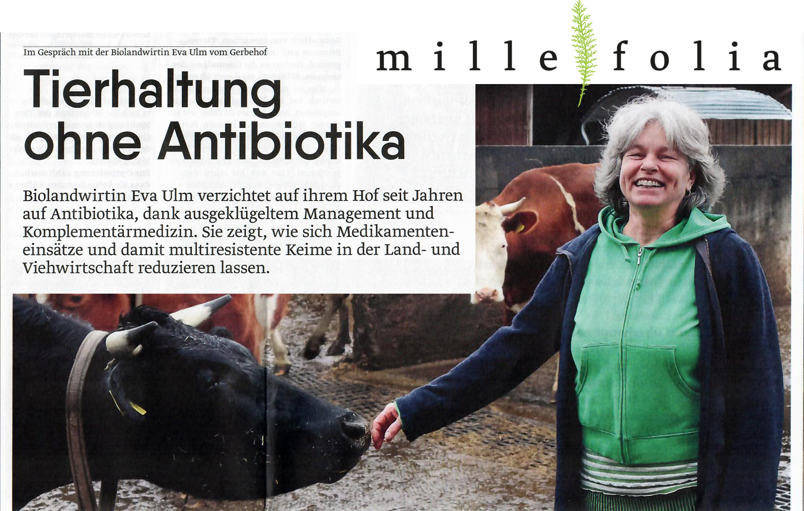 Interview mit Biolandwirtin Eva Ulm über Tierhaltung und Antibiotika für Millefolia